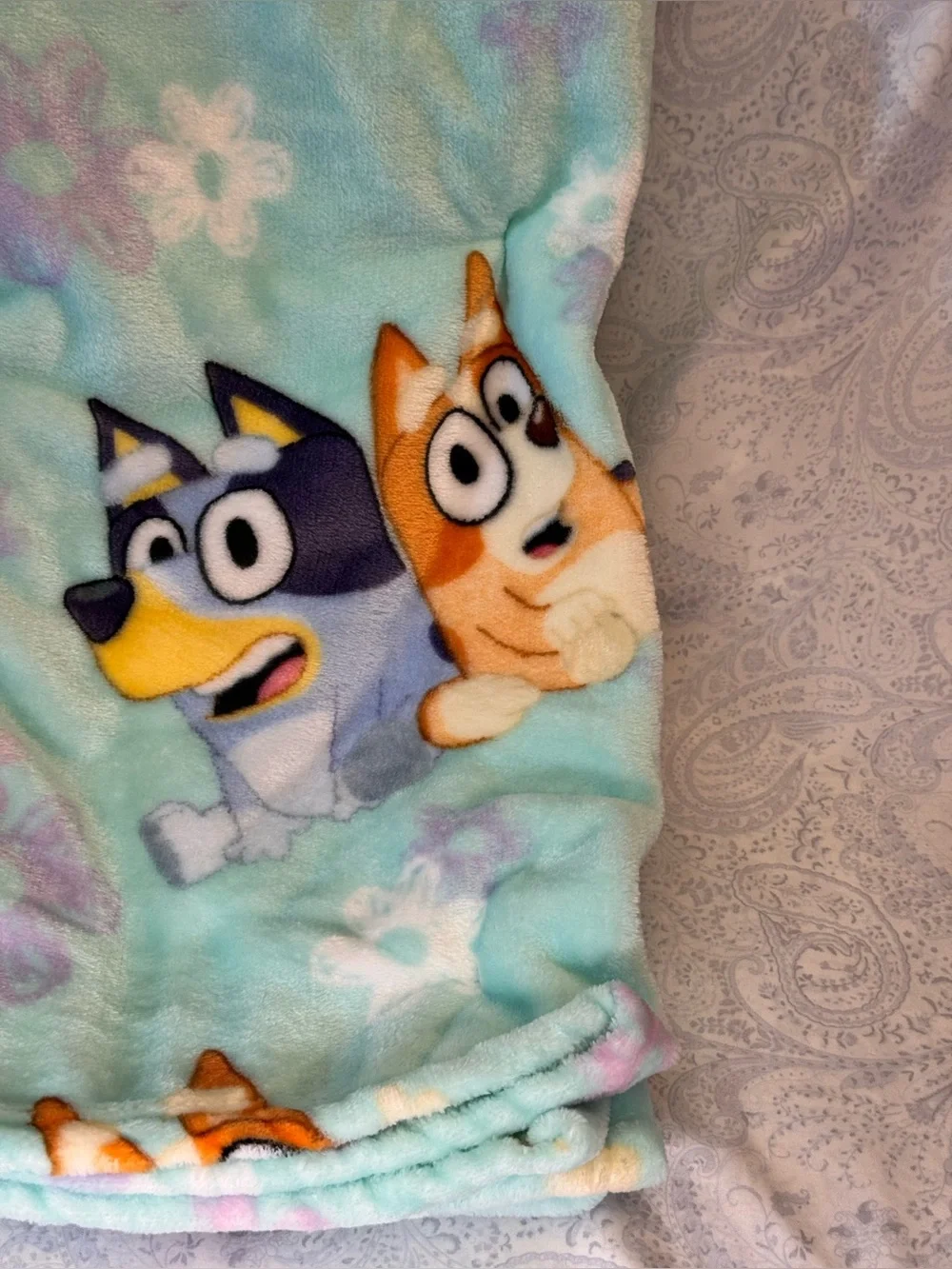N/A this bluey
